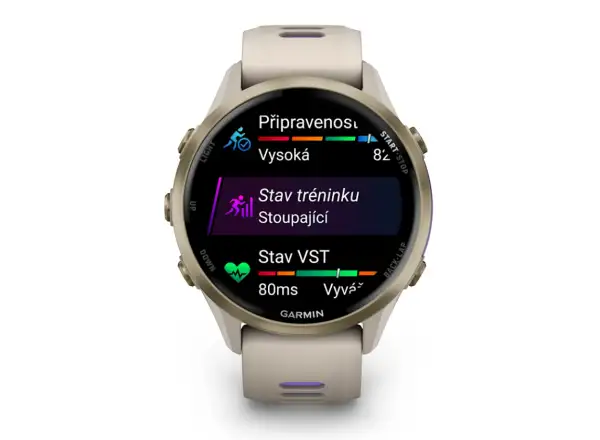 Garmin Forerunner 970 smart watch French Grey/Indigo