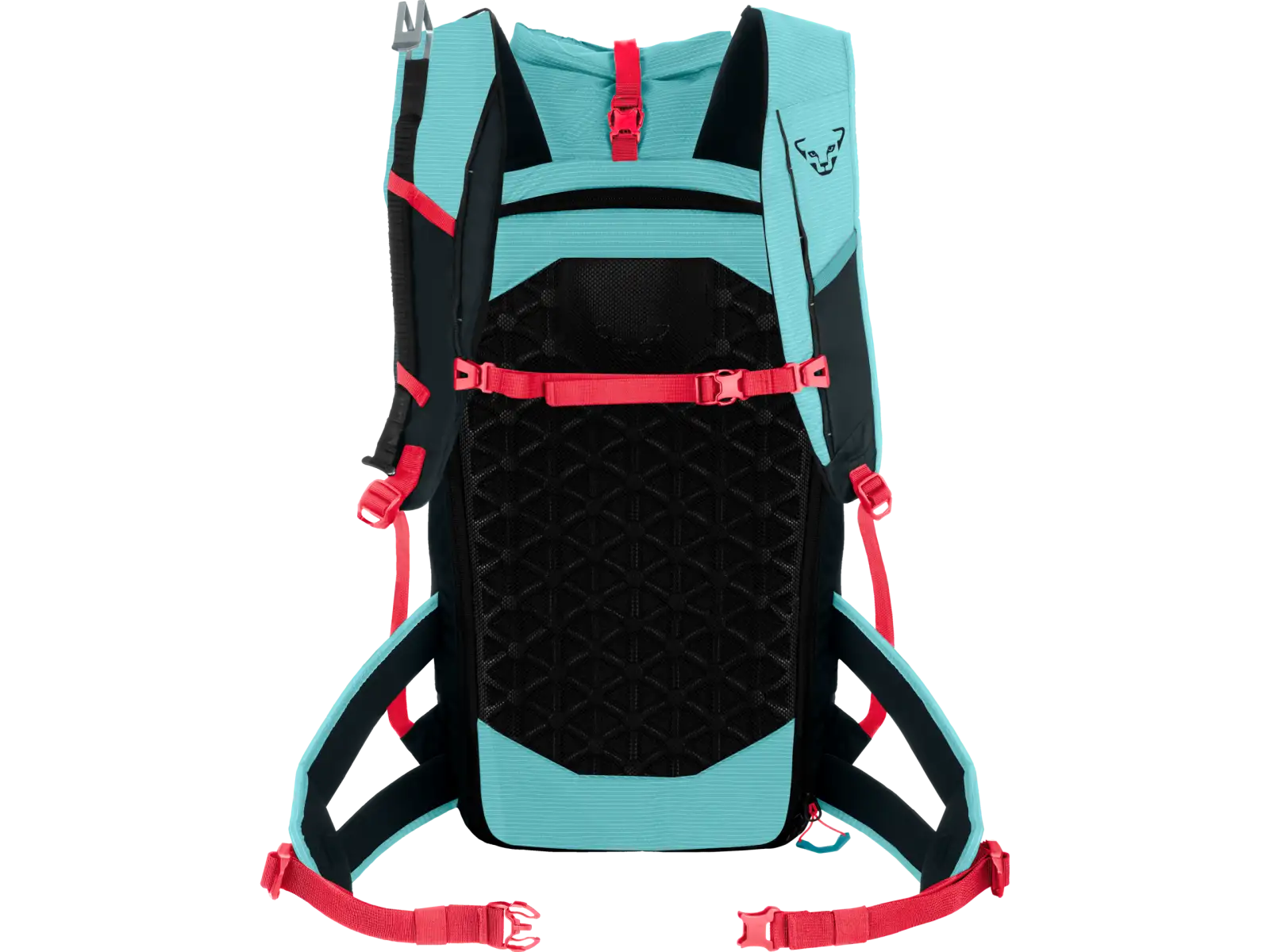 Dynafit Radical 30+ women's backpack 30 l Marine Blue/Blueberry