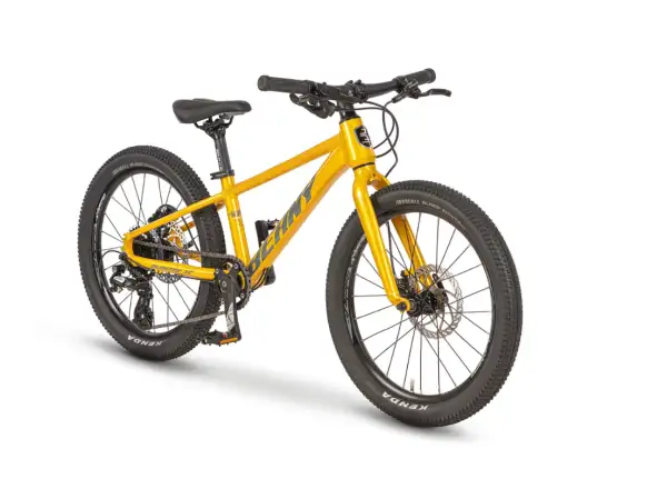 Beany Blaster XC 20 children's bike Gold