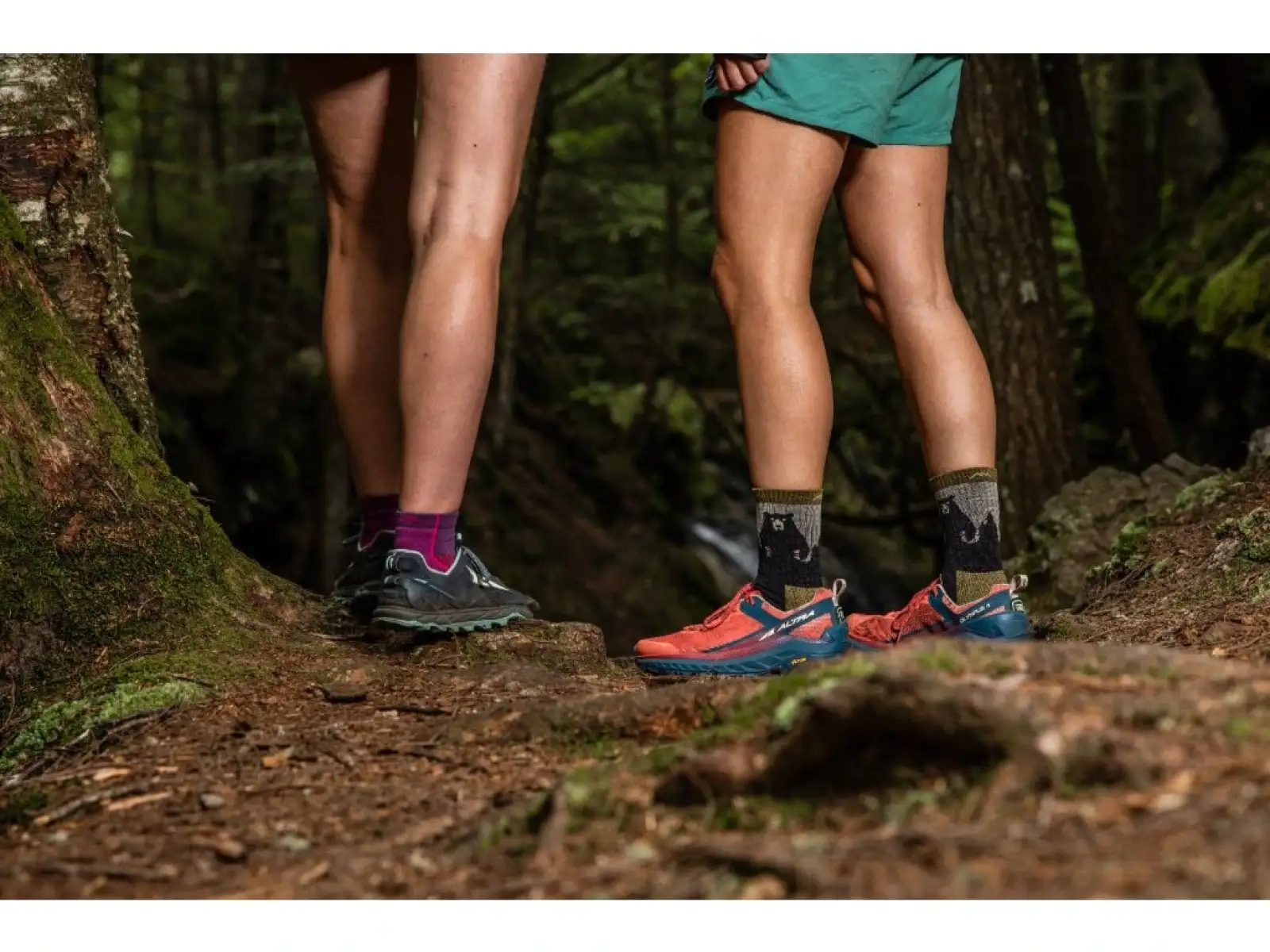 Darn Tough Sunset Ledge Micro Crew Lightweight Cushion women's socks Taupe