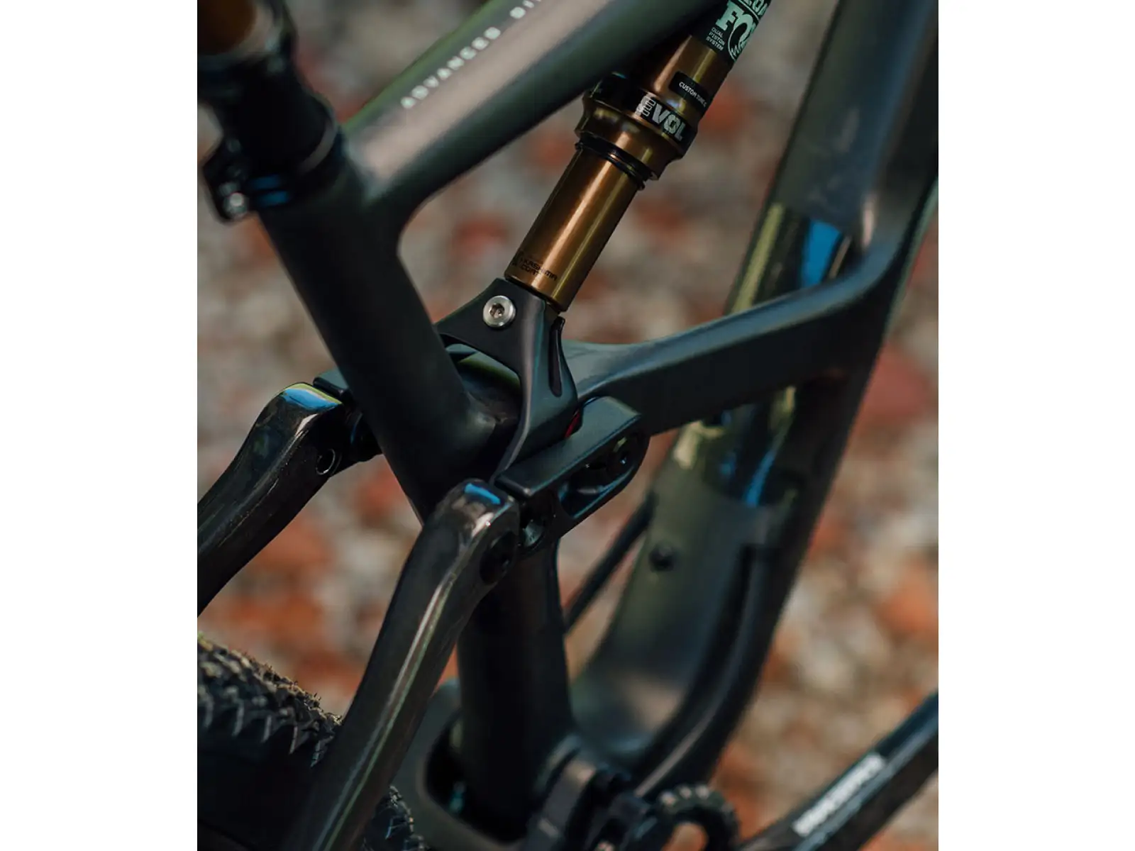 Orbea Occam H30 29 Full-Suspension Mountain Bike Gray-Red