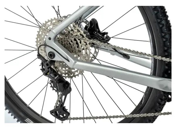 Apache Hupahu 1 Bosch 1000 Wh mountain e-bike silver