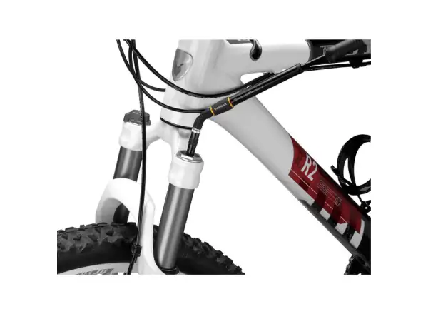 Topeak Microshock fork and shock pump