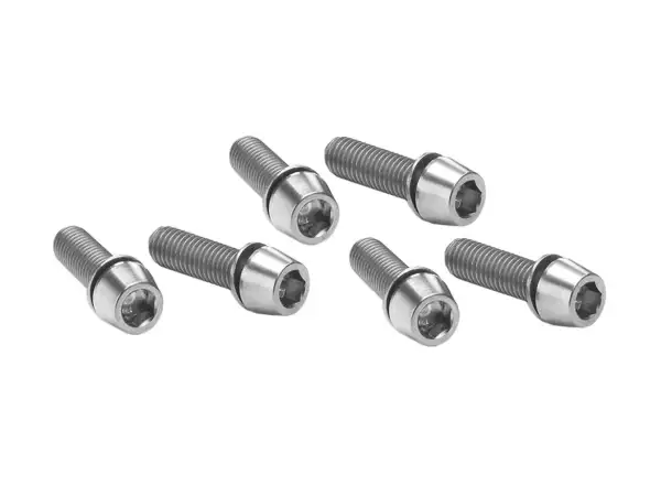 Ritchey screw for C220 stem 6 pcs silver
