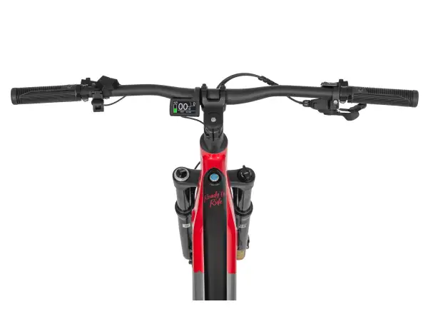 Ecobike RX 500 960 Wh Black Red mountain e-bike