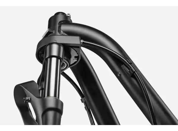 Cannondale Wonderwagen NEO 2 city e-bike GRY