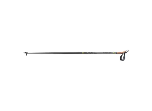 Fischer XC Superlite cross-country poles 2021/2022