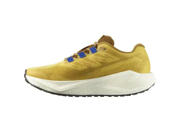 Salomon Aero Blaze 3 GRVL men's running shoes Spicy Mustard