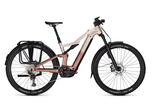 Focus Thron2 6.8 EQP ABS electric mountain bike 600 Wh Adamantsilver/Platinumbronze