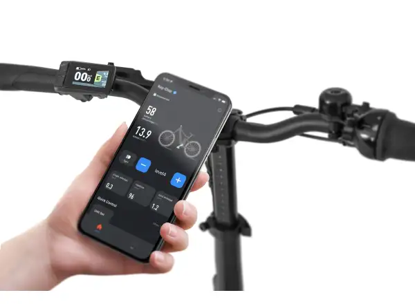 Ecobike Rhino Cruise 630 Wh Black folding e-bike