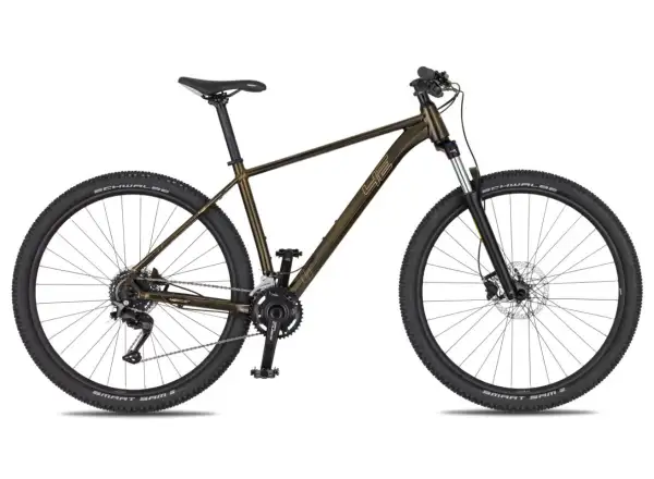 4Ever Frontbee XCM 29" mountain bike Gold galaxy