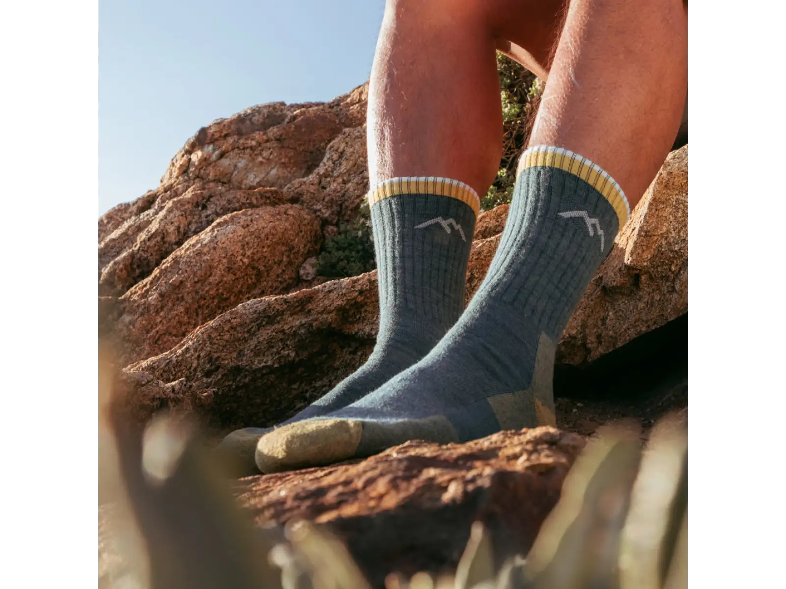 Darn Tough Hiker Micro Crew Midweight Cushion men's socks Spruce