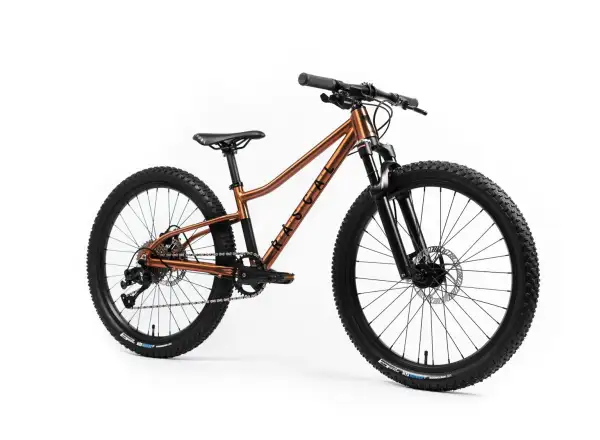 Rascal Wild 24 children's bike Bronze