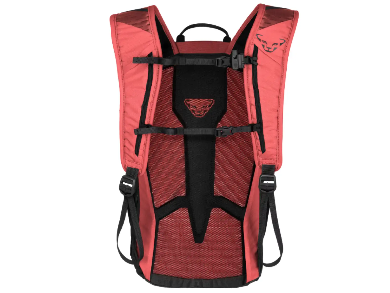 Dynafit Transalper 16 W backpack Cabana/Black Out