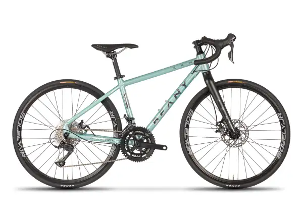 Beany Zen 26 road children's bike Mint