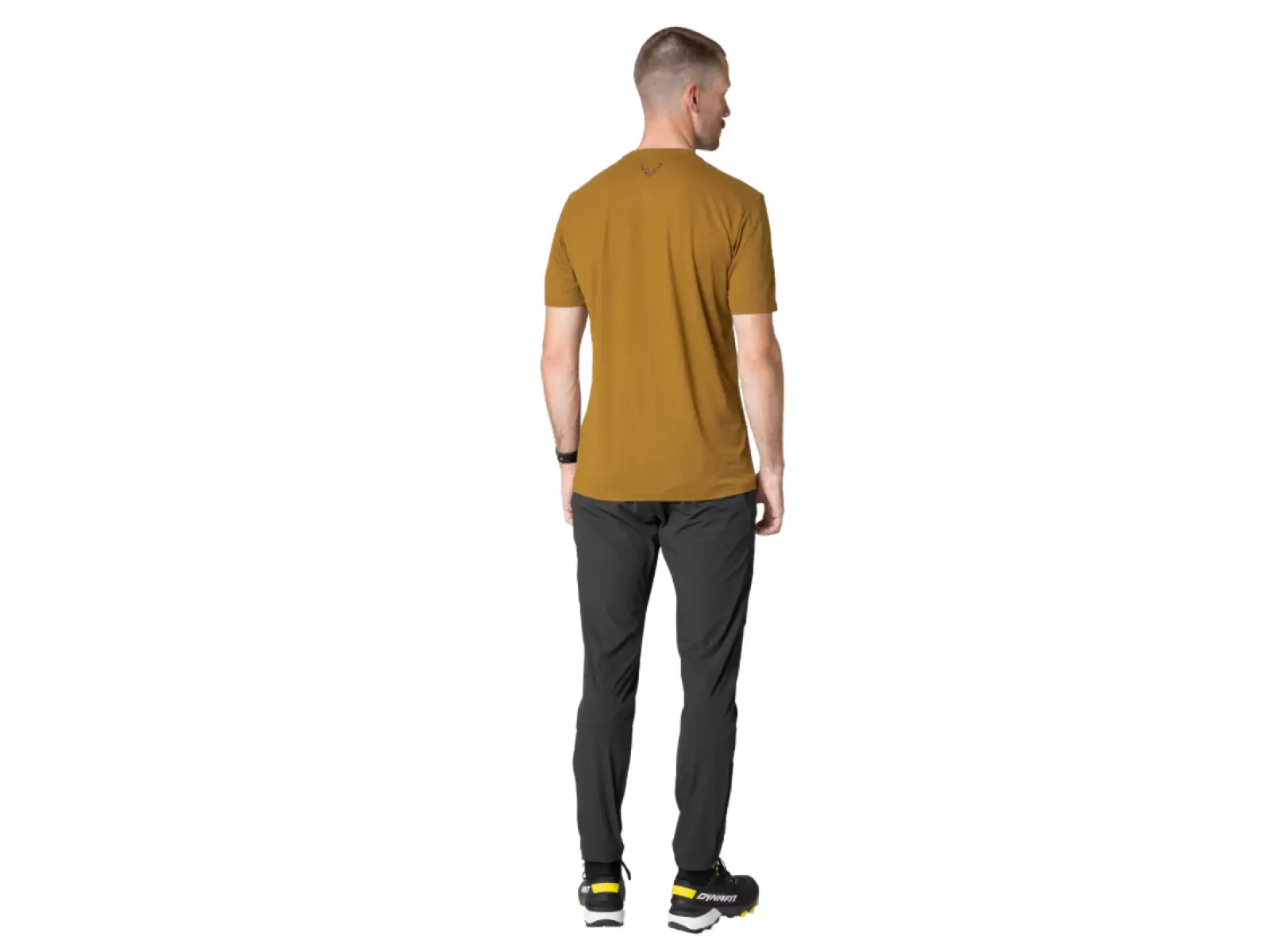 Dynafit Transalper Graphic men's T-shirt short sleeve Relic