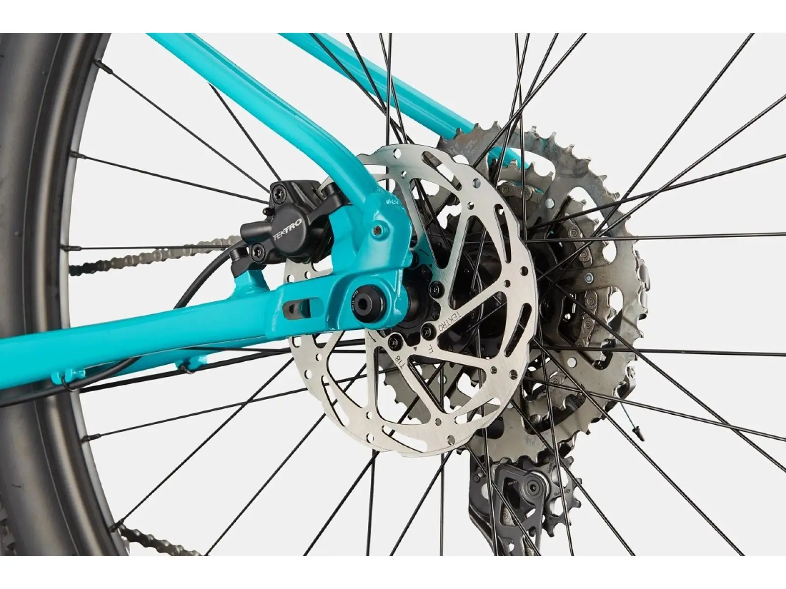 Cannondale Trail 2 29" mountain bike Ion Blue