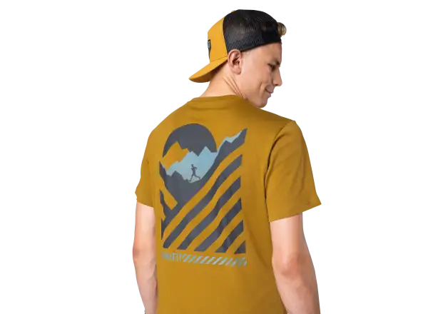 Dynafit 24/7 Graphic men's T-shirt Relic/Striped Elevation