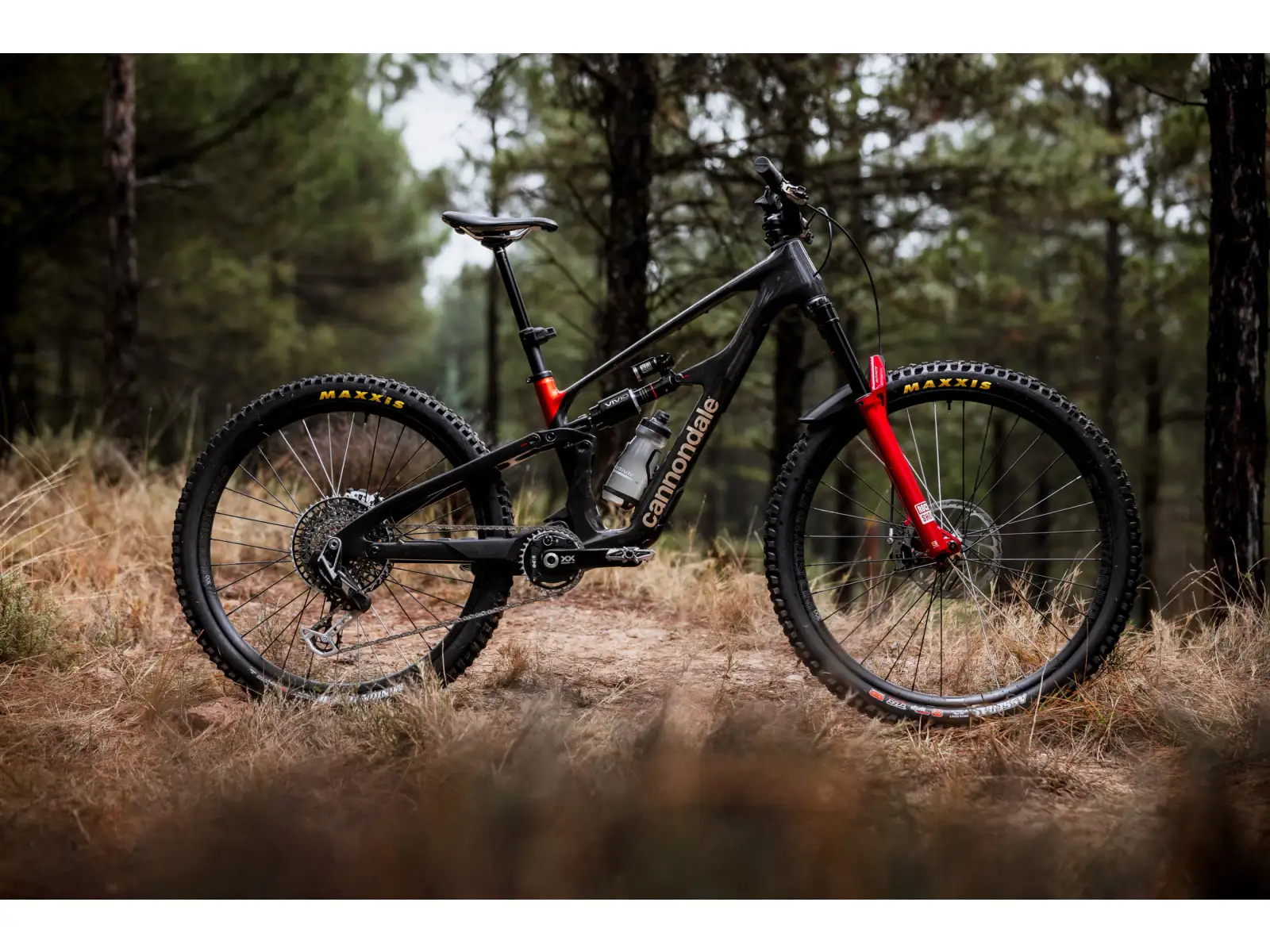 Cannondale Bad Habit 1 mountain bike RAW Carbon