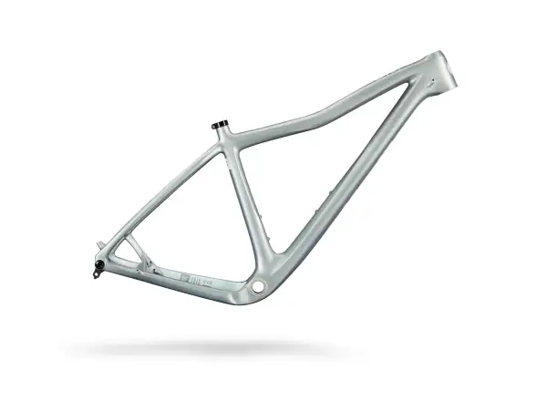 IBIS DV9 V2 frame set Silver
