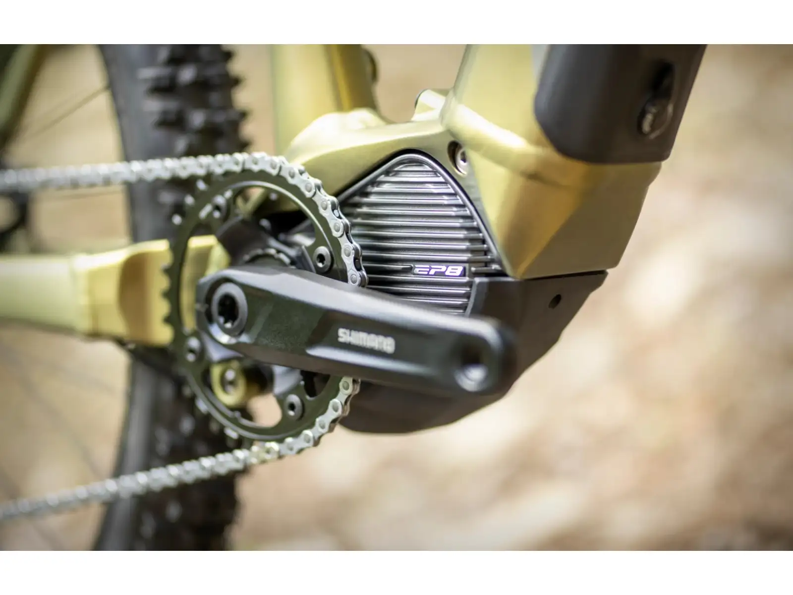 Superior eXP 8089 mountain e-bike Matte Olive Metallic/Chrome Silver