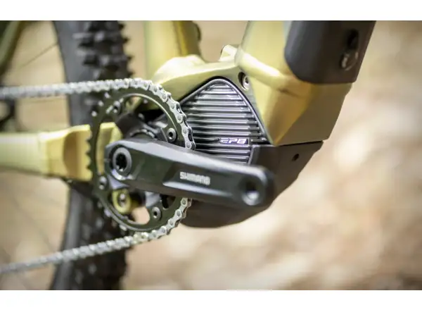 Superior eXP 8089 mountain e-bike Matte Olive Metallic/Chrome Silver
