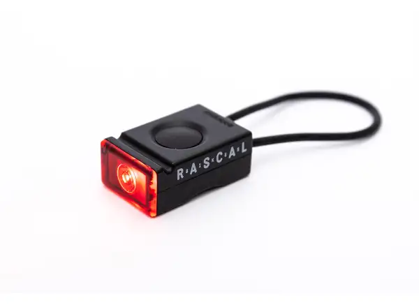 Rascal Bookman set of flashlights