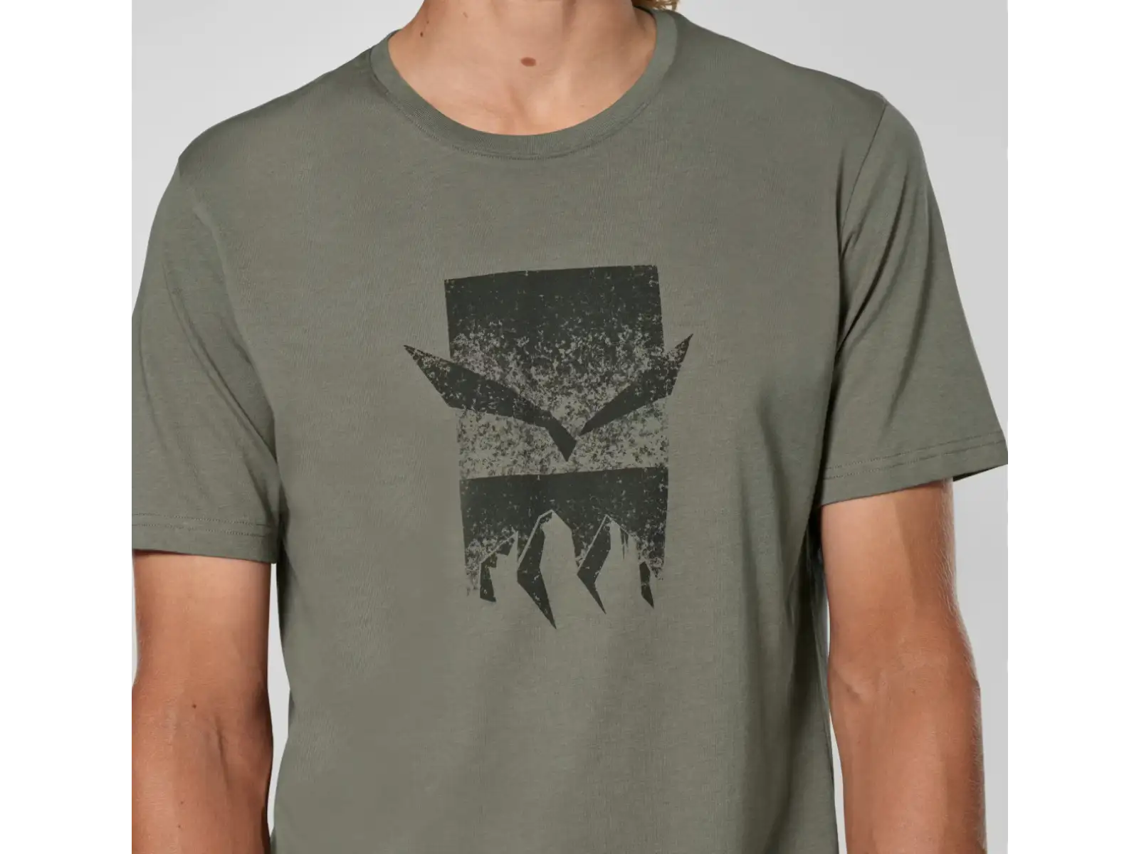 Salewa Eagle 3 Cime men's T-shirt short sleeve Faded Green
