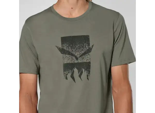 Salewa Eagle 3 Cime men's T-shirt short sleeve Faded Green