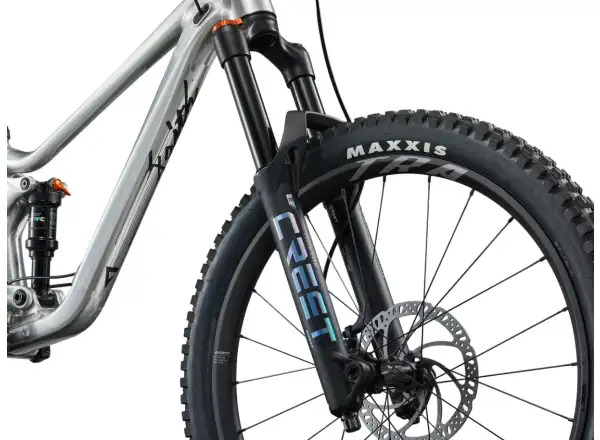 Giant Faith 24 children's full suspension bike Raw Aluminium