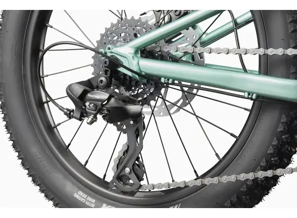 Cannondale Kids Trail Plus 20 kids bike Cactus Green