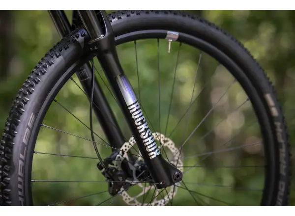 Superior XP 939 mountain bike Brushed Alu/Hologram Chrome