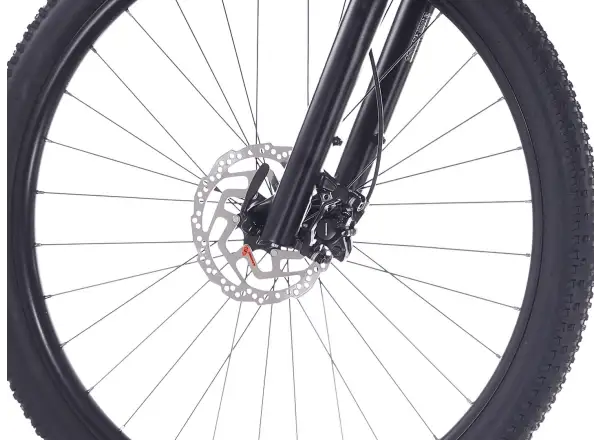 Rock Machine Blizz 30 mountain bike 29" Gloss Limerock Grey