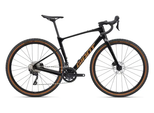 Giant Revolt Advanced 3 gravel bike Panther