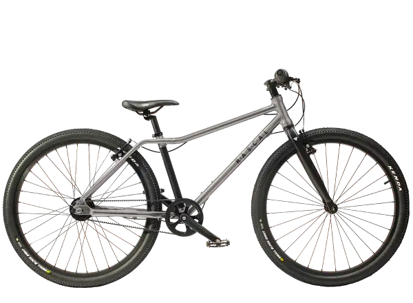 Rascal 26 7 sp. Shimano Nexus children's bike Titanium