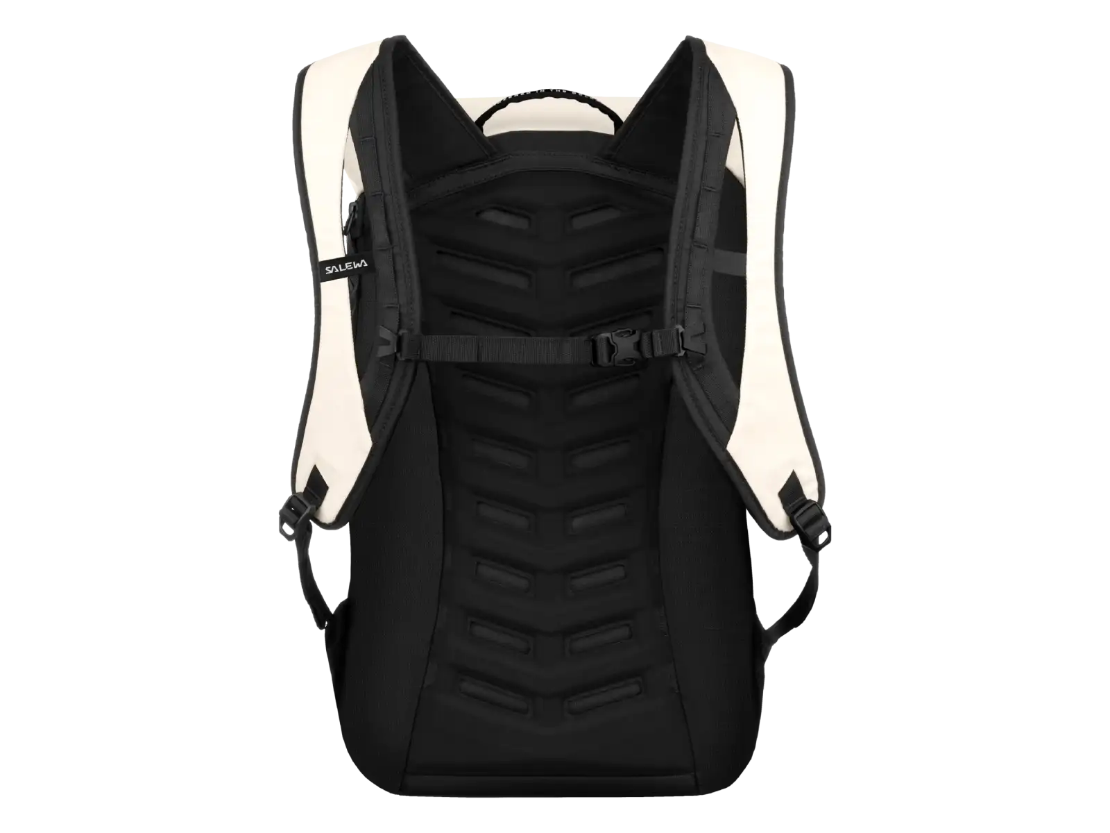 Salewa Fanes 24 l backpack Oatmeal