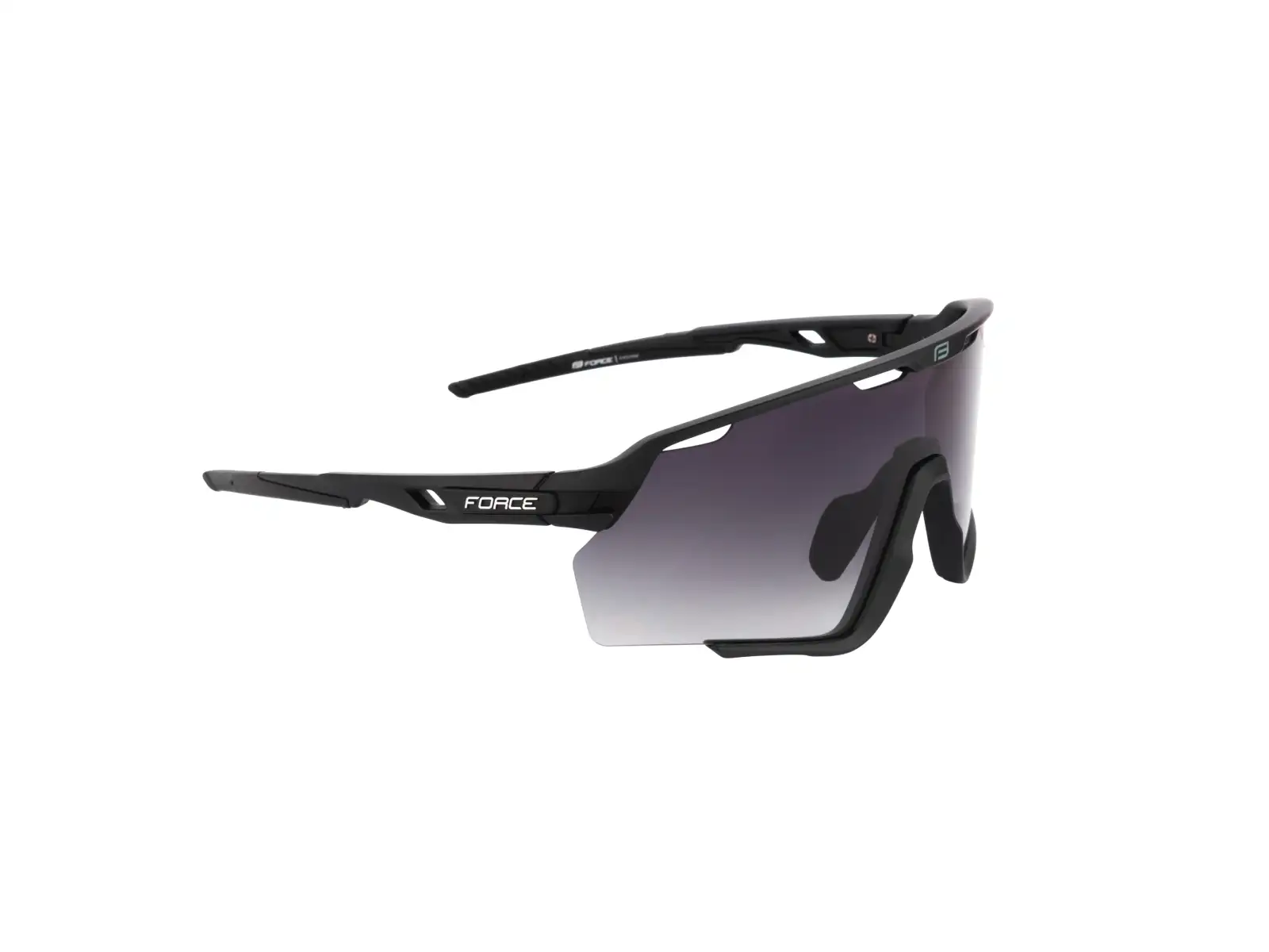 Force Cyclone glasses black/black transition lens