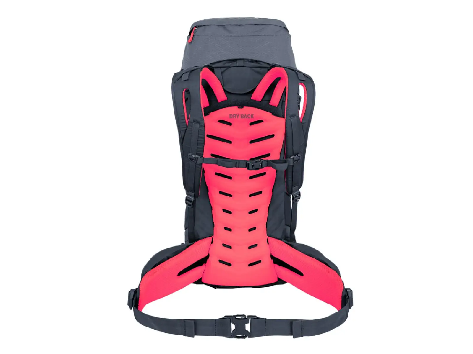 Salewa AlpTrek 38+5 women's backpack Quiet Shade/Fluo Coral