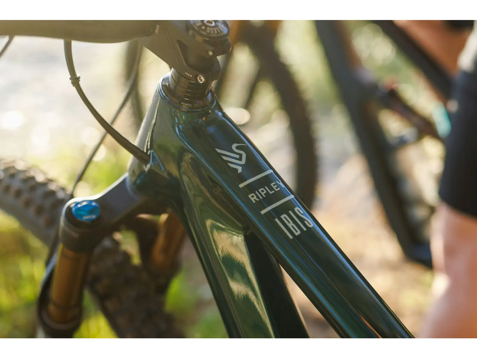 Ibis Ripley V5 Eagle 90 mountain bike Green Flash