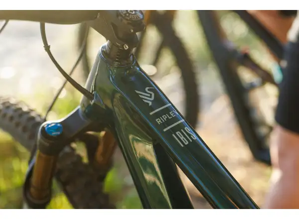 Ibis Ripley V5 Eagle 90 mountain bike Green Flash