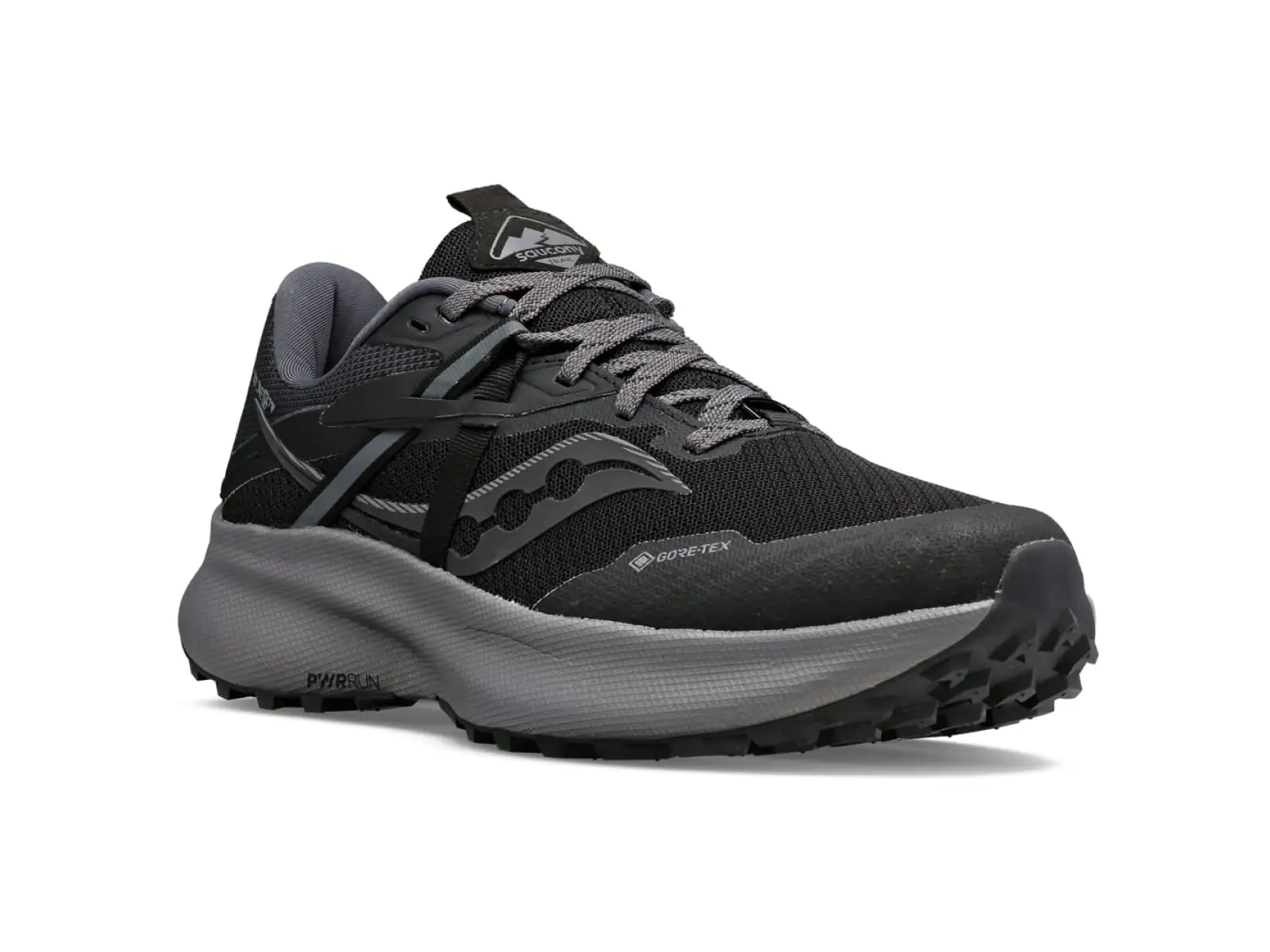 Saucony Ride 15 TR GTX women's running shoes Black/Charcoal