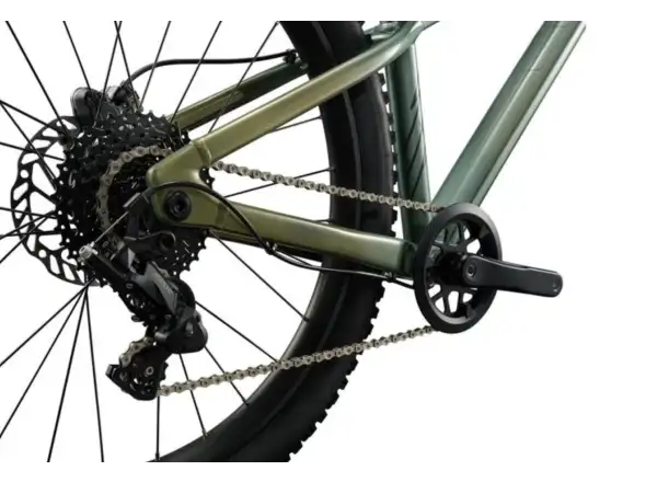 Liv STP 24 children's mountain bike Alpine Green
