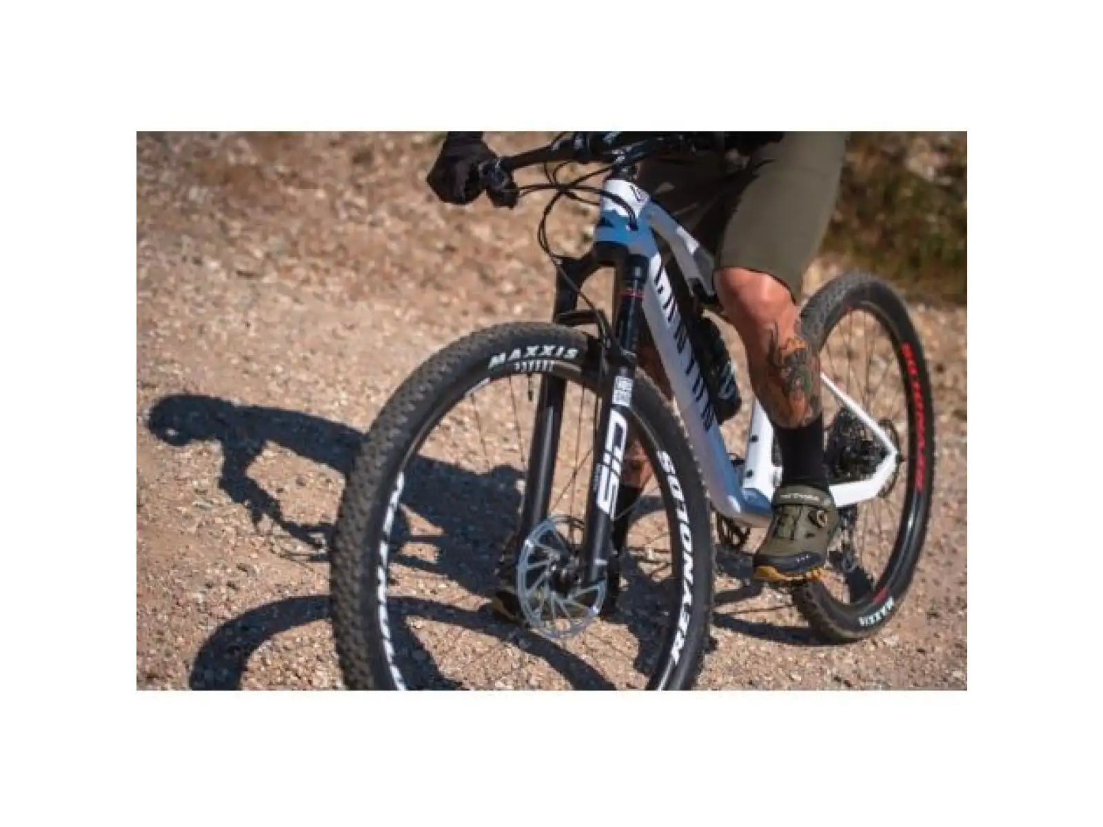 Northwave Spider Plus 3 MTB Shoes Men Forest