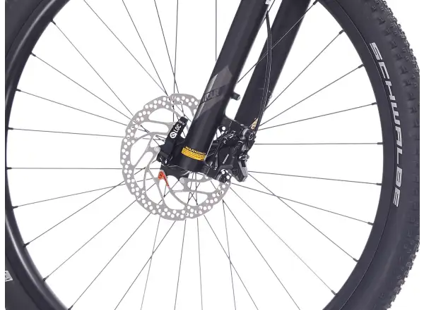 Superior XP 6.1 mountain bike Gloss Grey