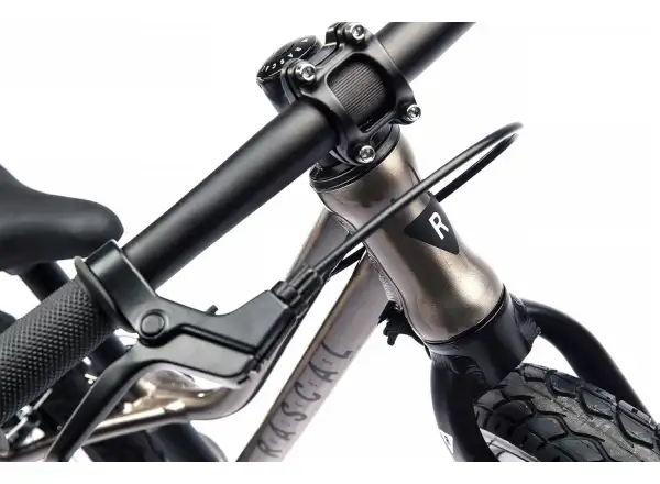 Rascal Punk children's balance bike Titanium