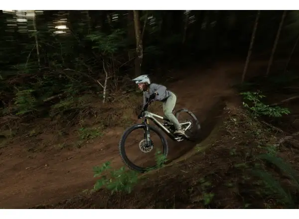 Ibis Ripmo V3 frameset Olive Swamp Monster