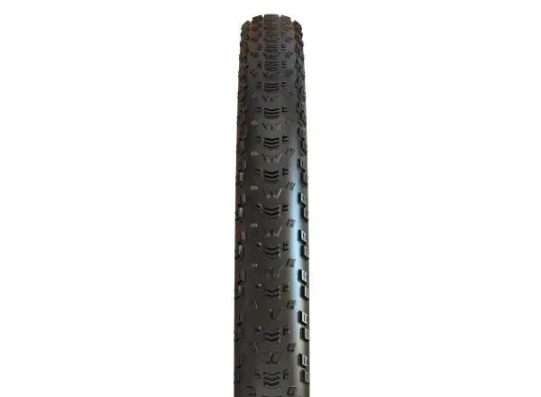 Maxxis Aspen MaxxSpeed EXO TR 29" tire kevlar