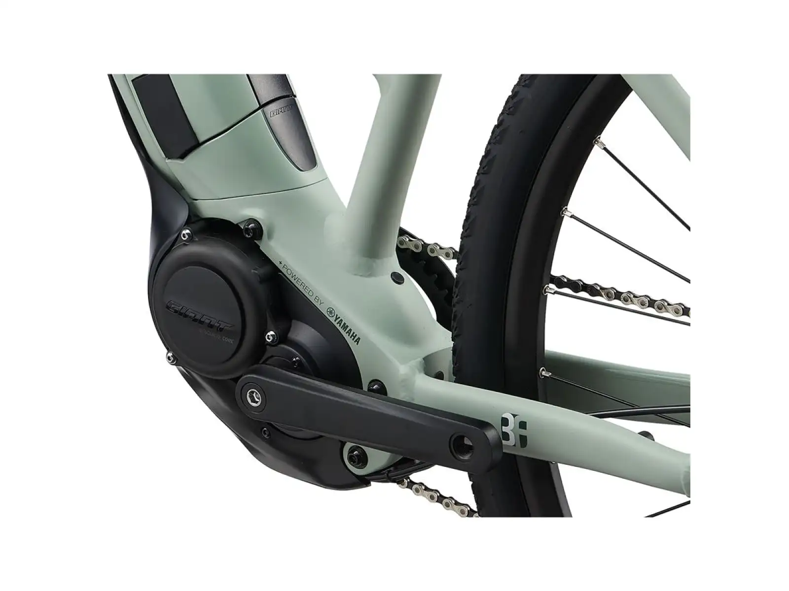 Liv Rove E+ women's trekking e-bike laurel