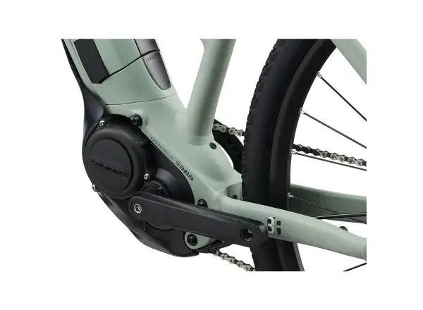Liv Rove E+ women's trekking e-bike laurel