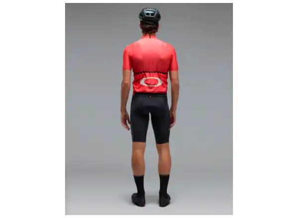 Oakley Icon Classic 2.0 men's jersey short sleeve Paloma